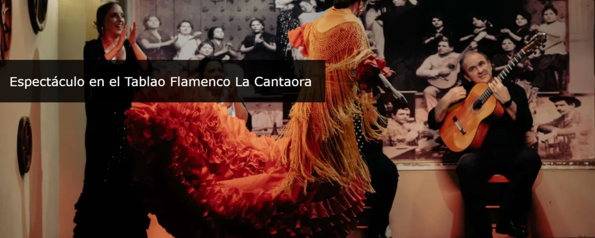 Flamenco Show in Seville La Cantaora